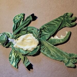 Adorable Dragon Costume